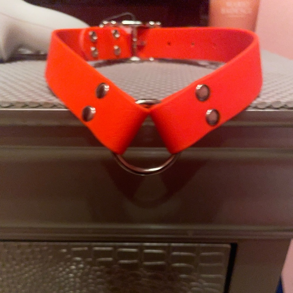 Hunting dog collar!